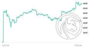 yass net worth