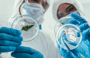 biotechnologia trading