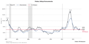 Złoty najtańszy od listopada 2024 r. Co stoi za osłabieniem i co dalej z polską walutą?